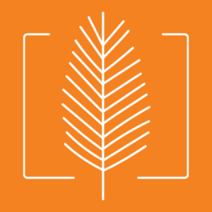 Fern Icon on Orange 1000